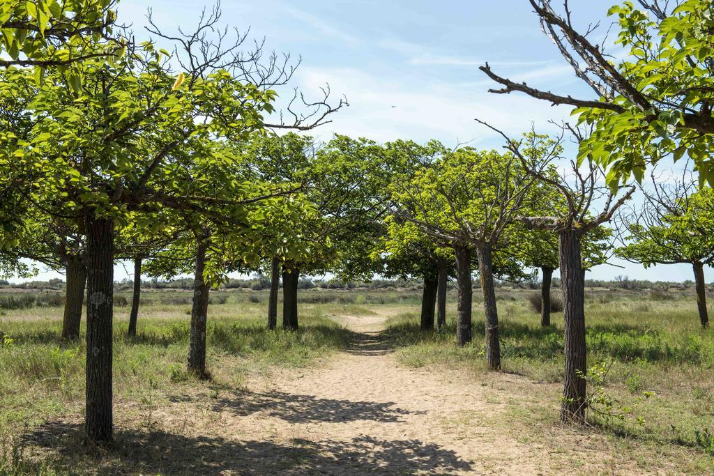 Domaine Les Muriers Vendres Exteriör bild