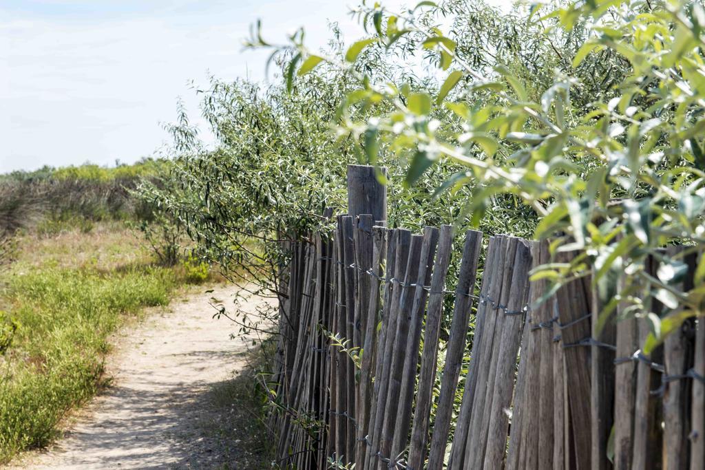 Domaine Les Muriers Vendres Exteriör bild